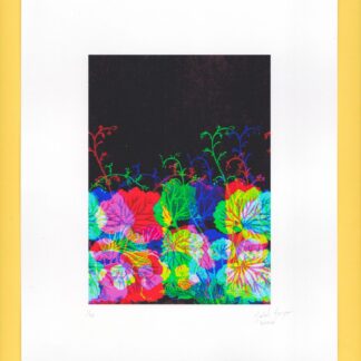 Crece un Jardín